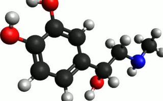 دانلود ترجمه مقاله فعالیت آنتی دیس بیوتیک ترکیبات دارویی برای درمان بیماران با پریودنتیتیس –2018 ijmd