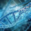 دانلود ترجمه مقاله تنظیم کننده های کلیدی بیماری های قلبی عروقی با RNA های غیر کد کننده طولانی – ۲۰۱۸ J-Stage