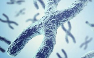 دانلود ترجمه مقاله TUG1 افزایش پیشرفت سرطان پروستات با فعالیت به عنوان یک ceRNA از miR-26a – نشریه Bioscirep 2018