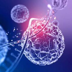 دانلود ترجمه مقاله کیت ابزار CRISPR جهت ویرایش ژنوم و فراتر از آن – NATURE 2018